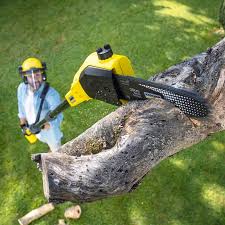 Lawn Maintenance Plans in Parker City, IN